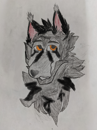 Rockydew headshot my drawing