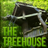 treehouse avvie 4