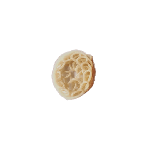 WK Medium Chain W 500gr NBL0194.png