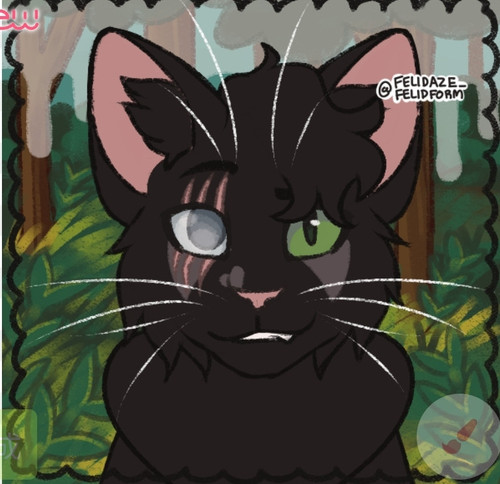 Screenshot 20220906 160402 Chrome