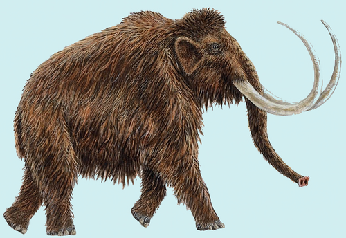 mammoth2.png