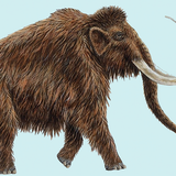 mammoth2
