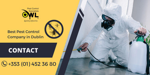 Choose the perfect pest control company in Dublin.jpg