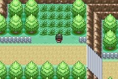 Pokemon Gaia 248.png