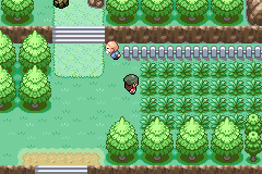 Pokemon Gaia 250.png