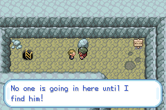 Pokemon Gaia 285.png