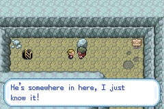 Pokemon Gaia 290.png