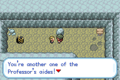 Pokemon Gaia 287.png