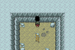 Pokemon Gaia 309.png
