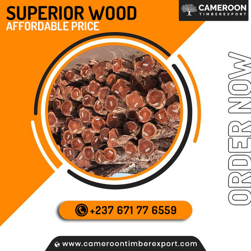 SUPERIOR WOOD ?

AFFORDABLE PRICE?

ORDER NOW: https://cameroontimberexport.com

#wood #Lumber #timber #woodworking #woodsupplier #woodexport #supplier #exporter #merchant #asia #europe #worldwideshipping