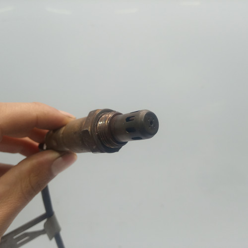 20220926 161152[1].jpg
