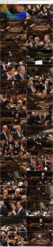 Europakonzert.2014.Live.from.the.Philharmonie.Berlin.BluRay.1080p.DTS HD.MA.5.0.Flac.x265.10bit BeiT.jpg