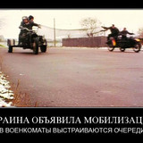 1423393741 1423390310 11