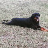 23823829 162887457788527 8327752561138335744 n