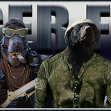 Badger Force