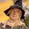 scarecrow.jpg