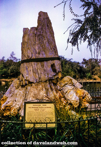 11 60 N06.jpg
