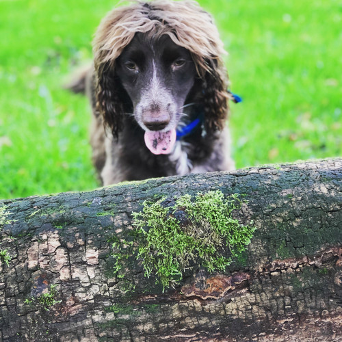 E778CBCC 48F6 41F7 A836 C4E79CC23955.jpg