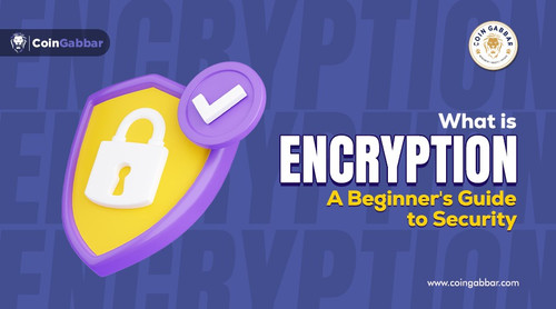 What is Encryption A Beginner's Guide to Security.jpg