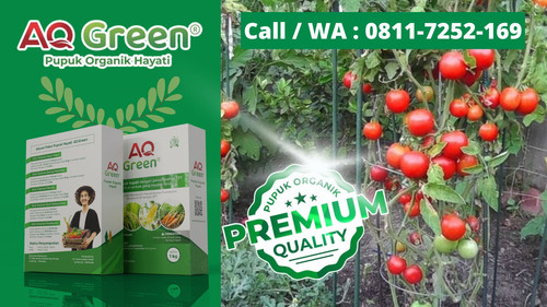 CEPAT PANEN, Call WA 0811 7252 169 Pabrik pupuk organik di Lampung Timur.jpg