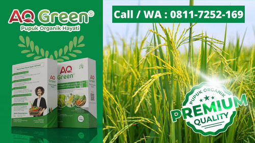 PALING LARIS, Call WA 0811 7252 169 Supplier pupuk organik amino plus di Lampung Timur.jpg