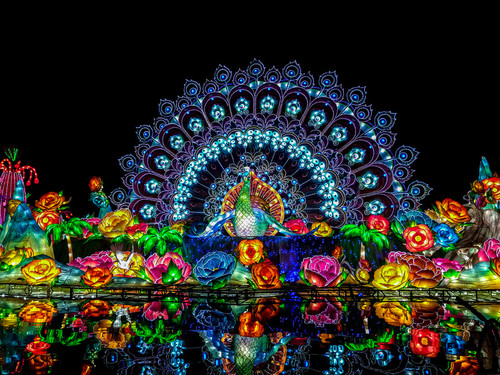 dubai garden glow tickets.jpg