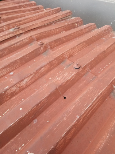 IMG 20181105 110655.jpg