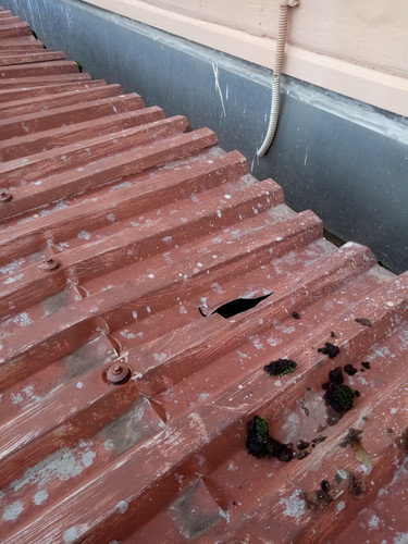 IMG 20181105 110712.jpg