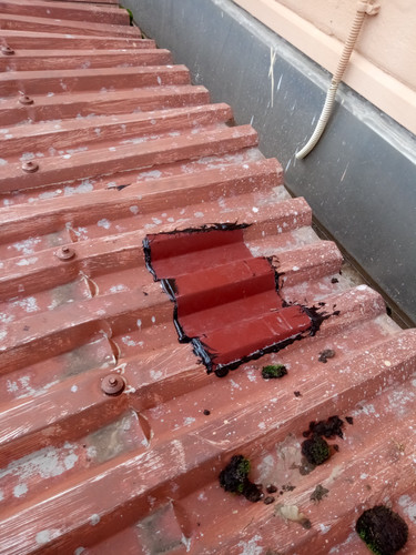 IMG 20181105 112854.jpg