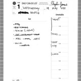 Form 1 0133