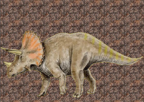 triceratops.jpg