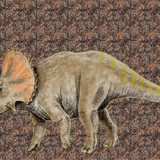 triceratops