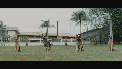 The Big Boss AKA Tang shan da xiong 1971 REMUX 1080p x264 ac3.mkv 20221017 183910.000.png