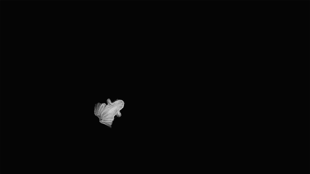 txZ3KB.gif
