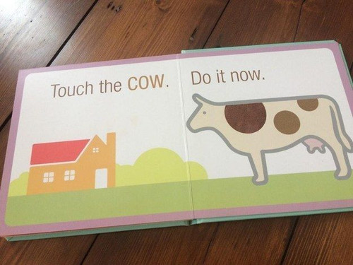 Touch the cow.jpg