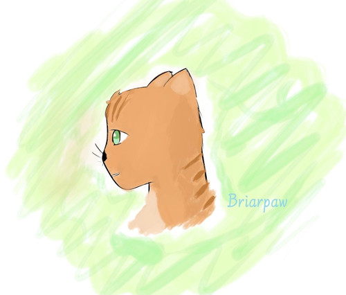 367F5725 4D62 452C 96EB F475AE885F48