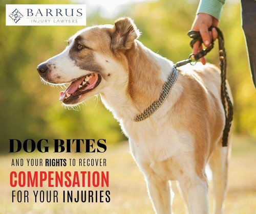 Dog Bite Attorney.jpg