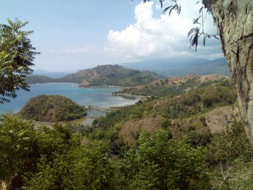 60968008 665555773866232 4792669051153285120 n.jpg