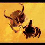 13218d4dba7793a4e5d6e48f56b54719c3221215r1 483 270 hq.gif