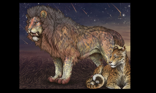 54CAB230 0156 4B32 83FA 602203FE4883.jpg