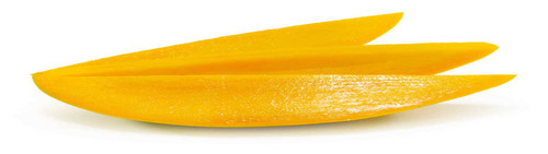 istockphoto 1140136265 612x612 (1).jpg