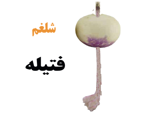 چراغ موشی شلغمی.png