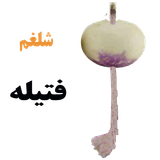 چراغ موشی شلغمی