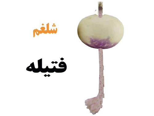 چراغ شلغمی.jpg