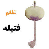 چراغ شلغمی