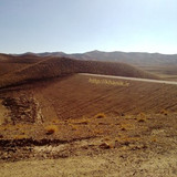20101130810