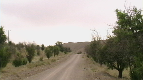 IMGA0257 37.jpg