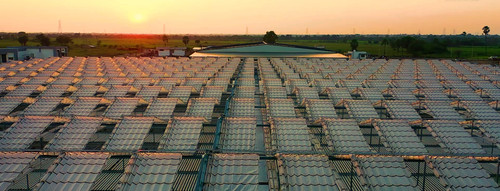 simply fresh farm.jpg