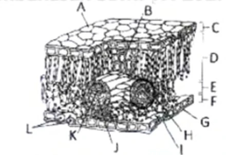 Screenshot 2022 07 21 105627 2.webp