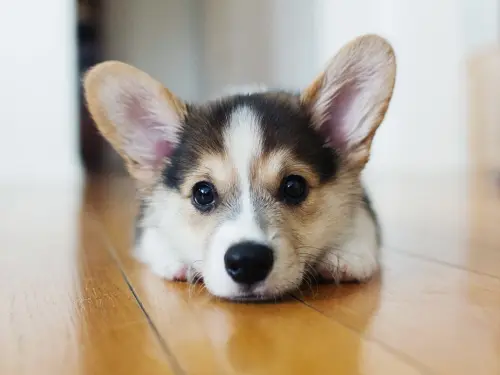 7B78A2F6 18F1 4435 97F7 FD8A3FDF15B2.webp